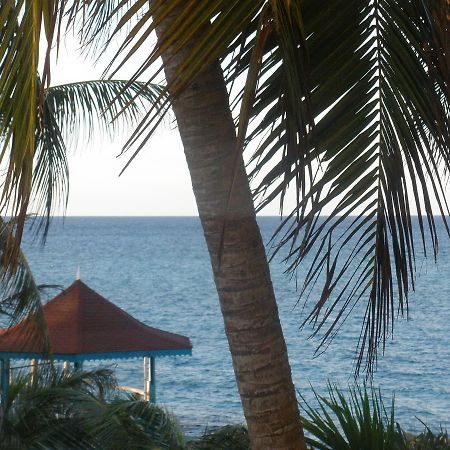 Villa Criss Ocho Rios Dış mekan fotoğraf