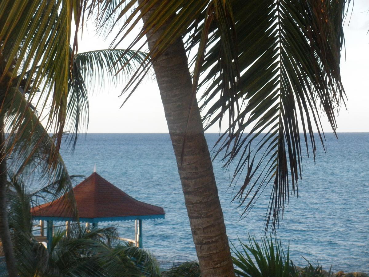 Villa Criss Ocho Rios Dış mekan fotoğraf