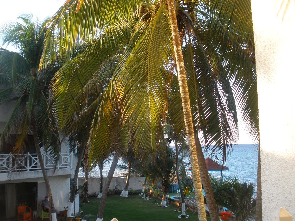 Villa Criss Ocho Rios Dış mekan fotoğraf